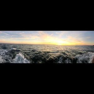 Meet your Posher, Jack